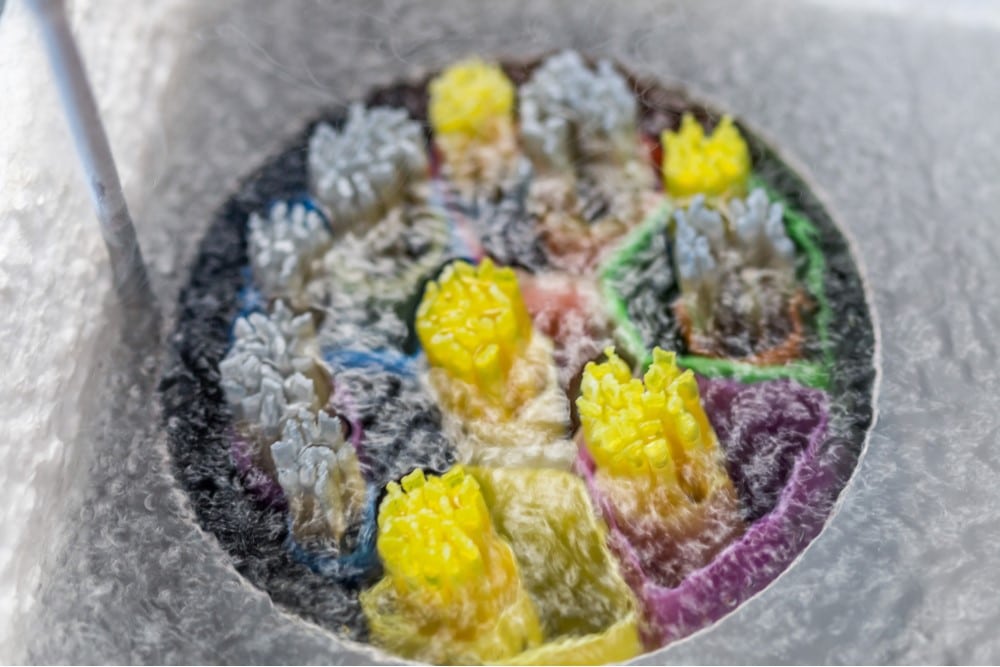 εξωσωματική γονιμοποίηση