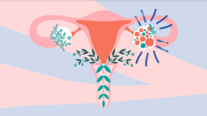 μικροβίωμα μήτρας και γονιμότητα